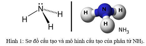 HCl ra NH4Cl | NH3 + HCl → NH4Cl | NH3 ra NH4Cl