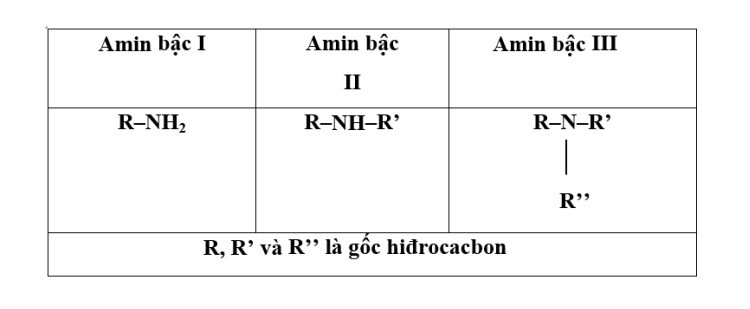 bac-cu-amin