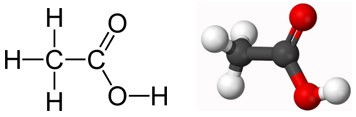   Cấu trúc phân tử của axit axetic CH3COOH