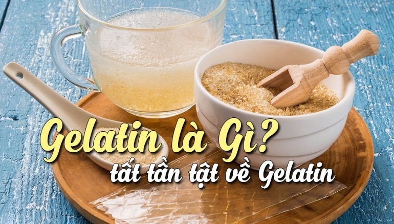 Gelatin là gì?