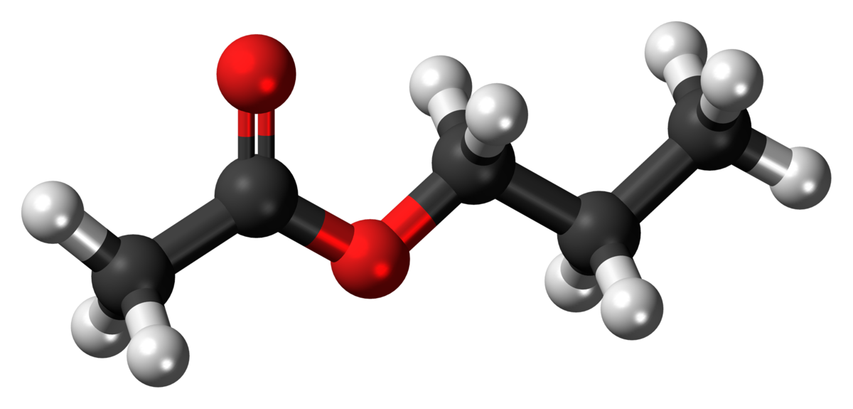 Cấu trúc phân tử của propyl axetat