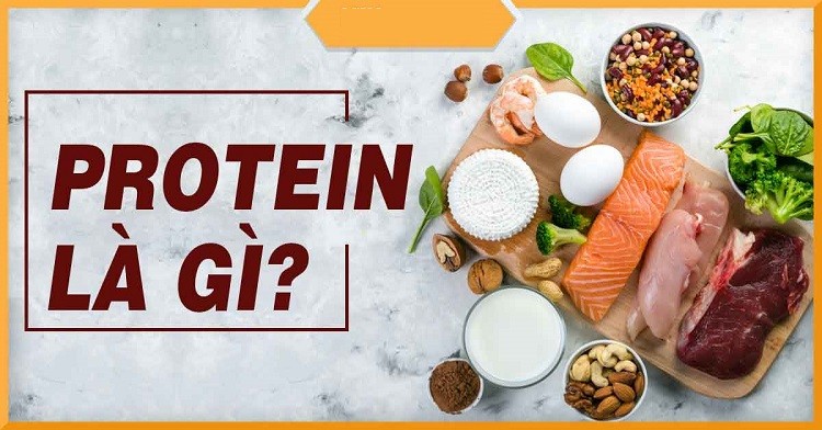 protein-la-gi