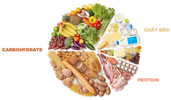 carbohydrate-là-một-thực phẩm-thực phẩm-chính-cua-co-the