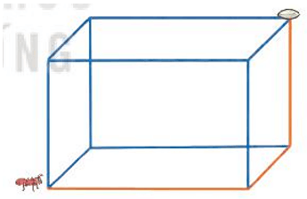 Toán lớp 3 trang 64 Luyện tập | Kết nối tri thức