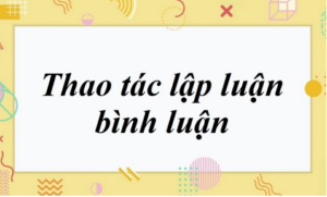 Soạn bài Thao tác lập luận bình luận | Soạn văn 11 hay nhất