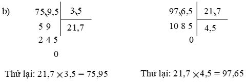 Toán lớp 5 trang 163, 164 Phép chia