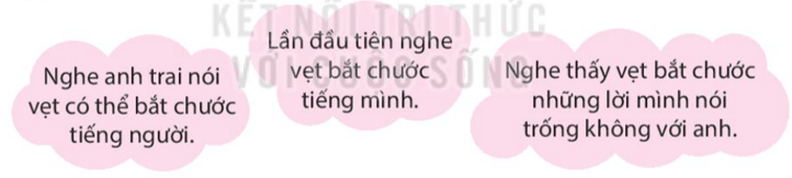 Bài 13: Con vẹt xanh Tiếng Việt lớp 4 Kết nối tri thức