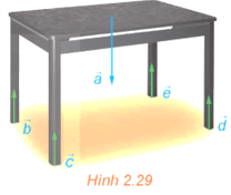 Bài 2.3 trang 58 Toán 12 Kết nối tri thức Tập 1 | Giải Toán 12