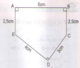 Toán lớp 5 trang 169, 170 Luyện tập chung