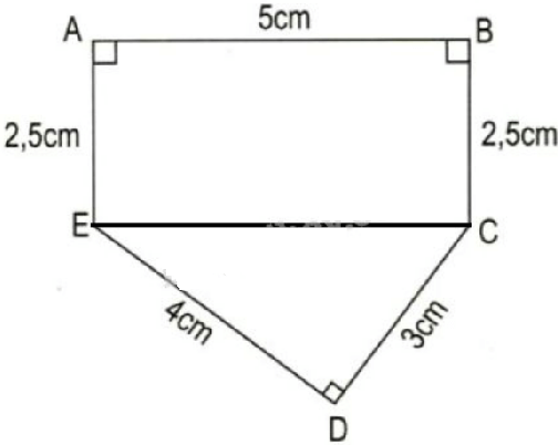 Toán lớp 5 trang 169, 170 Luyện tập chung