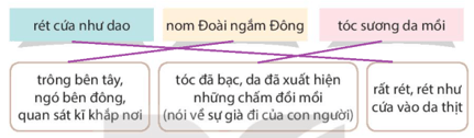 Bài 4: Quả ngọt cuối mùa Tiếng Việt lớp 4 Kết nối tri thức