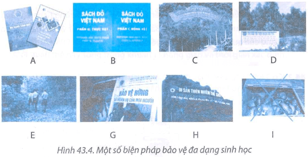 Hãy nêu các nhóm biện pháp bảo vệ đa dạng sinh học Xác định các hình ảnh trong Hình 43.4