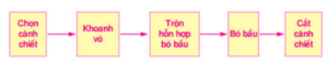 Bài 5: Thực hành: Chiết cành | Giải bài tập Công nghệ 9