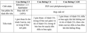 Giải bài 5 trang 43 sgk Sinh 11 | Để học tốt Sinh 11