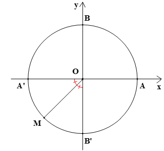 Biểu diễn góc lượng giác trên đường tròn lượng giác lớp 11 (cách giải + bài tập)