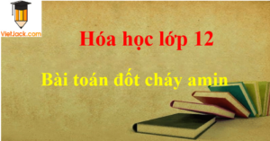 Các dạng bài toán đốt cháy amin và cách giải