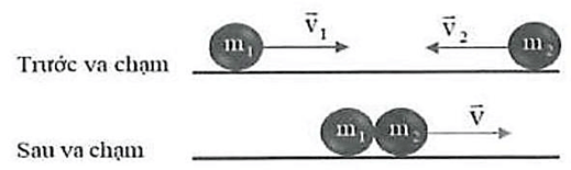 Các loại va chạm lớp 10