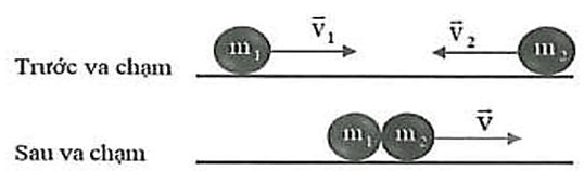 Các loại va chạm lớp 10