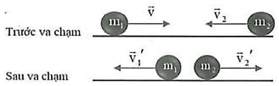 Các loại va chạm lớp 10