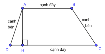 Cách tính Diện tích hình thang hay, chi tiết