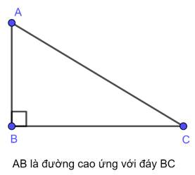 Cách tính Diện tích tam giác hay, chi tiết