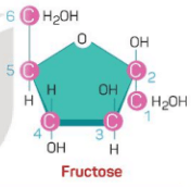 Tại sao cùng có chung công thức cấu tạo C6H12O6 nhưng glucose và fructose (ảnh 1)