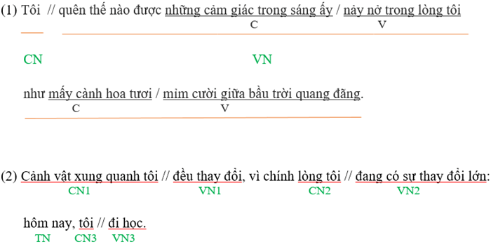 Soạn văn lớp 8 | Soạn bài lớp 8