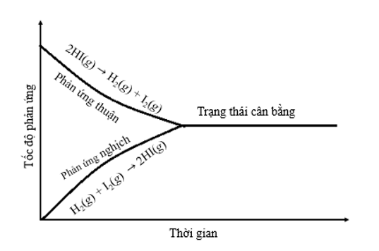 Cho phản ứng: 2HI(g) ⇌ H2(g) + I2(g) Vẽ dạng đồ thị biểu diễn tốc độ của phản ứng thuận và phản ứng nghịch theo thời gian