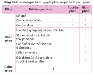 Lập bảng so sánh quá trình nguyên phân và quá trình giảm phân theo gợi ý