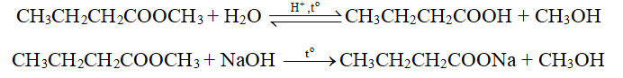 Propyl ethanoate là ester có mùi đặc trưng của quả lê