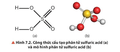 Quan sát Hình 7.2, mô tả cấu tạo phân tử của H2SO4