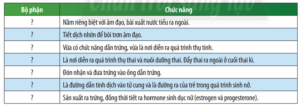 Quan sát Hình 44.2, cho biết cấu tạo cơ quan sinh dục nữ gồm những bộ phận