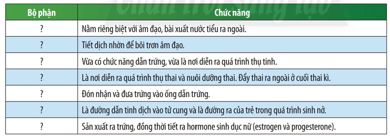 Quan sát Hình 44.2, cho biết cấu tạo cơ quan sinh dục nữ gồm những bộ phận