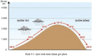 Trình bày hiện tượng phơn (gió phơn) và cho biết nguyên nhân hình thành hiện tượng này