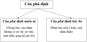 Câu phủ định | Ngữ văn 8