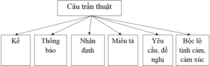 Câu trần thuật | Ngữ văn 8