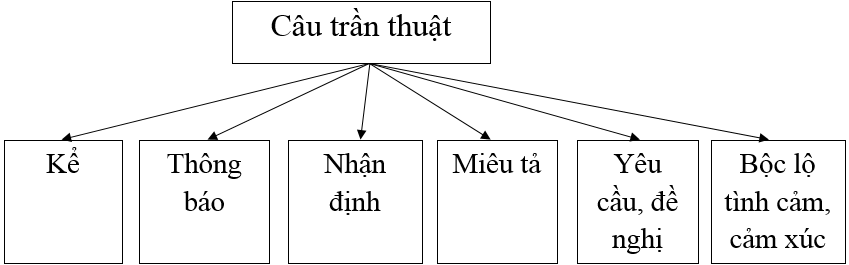 Câu trần thuật | Ngữ văn 8