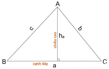 Công thức tính chu vi, diện tích hình tam giác lớp 6 (hay, chi tiết)