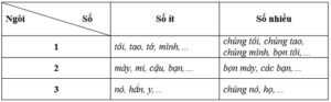 Soạn văn lớp 7 | Soạn bài lớp 7