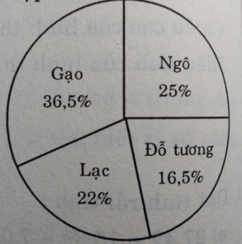 Đề thi Toán lớp 5 Học kì 1, Học kì 2 chọn lọc, có đáp án