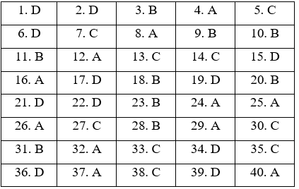 Đề thi Tiếng Anh 9 mới Học kì 2 có đáp án (Đề 4)