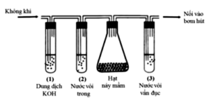 Đề Thi vào 10 chuyên Hóa Hà Nội năm 2024 (ảnh 1)