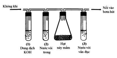 Đề Thi vào 10 chuyên Hóa Hà Nội năm 2024 (ảnh 1)