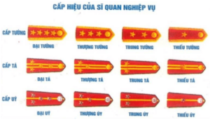 Hãy nêu hệ thống công an hiệu, cấp hiệu và phù hiệu của Công an nhân dân