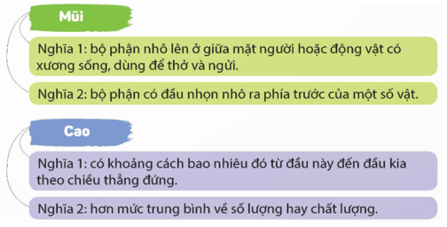 Luyện từ và câu lớp 5 trang 74 (Luyện tập về từ đa nghĩa) | Kết nối tri thức Giải Tiếng Việt lớp 5