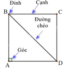 Hình vuông, Tam giác đều, Lục giác đều (Lý thuyết Toán lớp 6) | Chân trời sáng tạo