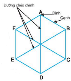 Hình vuông, Tam giác đều, Lục giác đều (Lý thuyết Toán lớp 6) | Chân trời sáng tạo