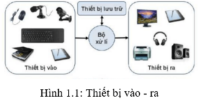 Lý thuyết Tin học 7 Kết nối tri thức Bài 1: Thiết bị vào - ra