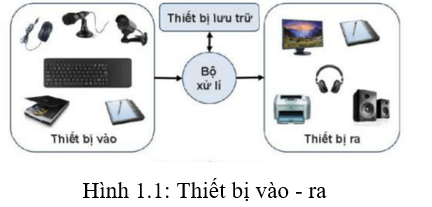 Lý thuyết Tin học 7 Kết nối tri thức Bài 1: Thiết bị vào - ra