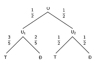 Công thức xác suất toàn phần và công thức Bayes (Lý thuyết Toán lớp 12) | Kết nối tri thức